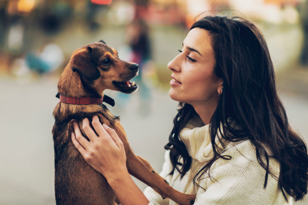 10 BENEFITS OF OWNING A PET - fortunate pet